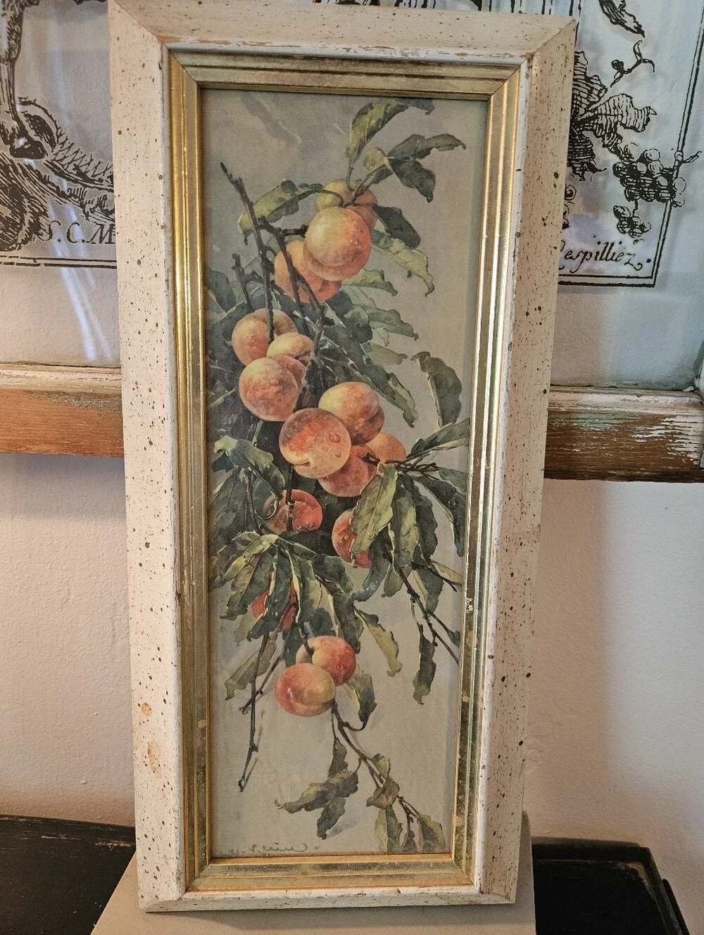 Vintage Turner Mfg Co. Fruit Wall Art – Mid Century Framed Botanical Print –5x14